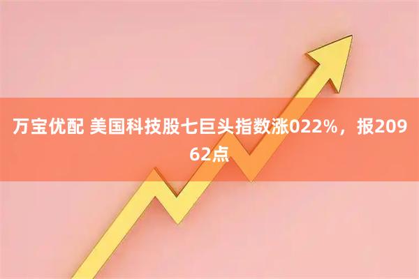 万宝优配 美国科技股七巨头指数涨022%，报20962点
