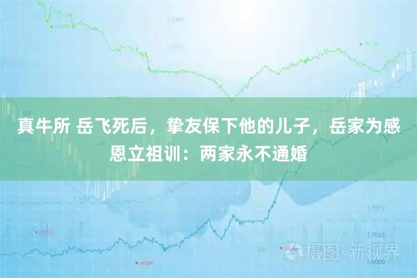 真牛所 岳飞死后，挚友保下他的儿子，岳家为感恩立祖训：两家永不通婚